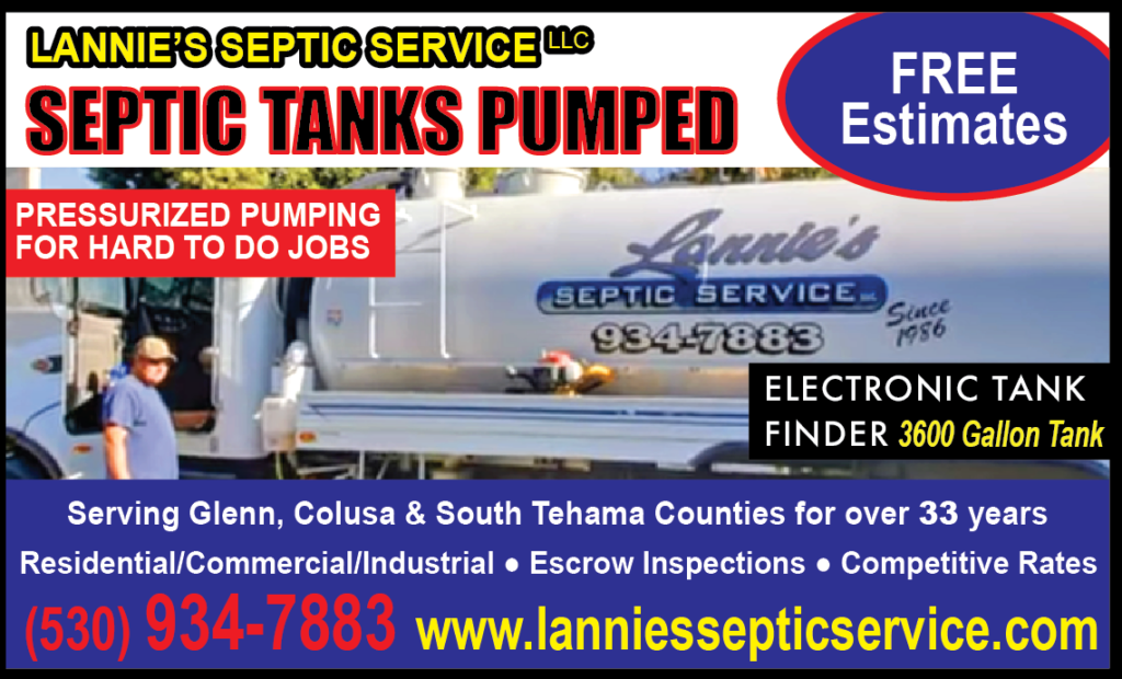 Print ad for Lannie’s Septic Service