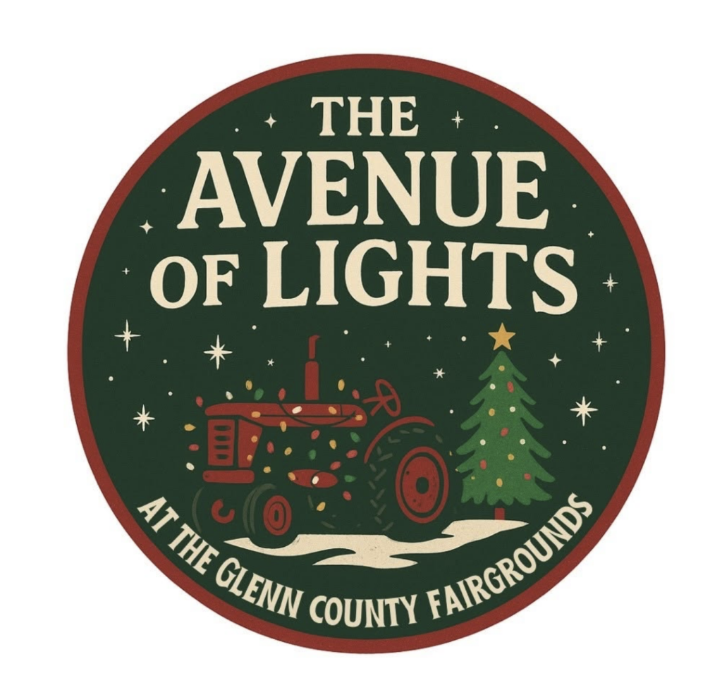 Flyer for Avenue Of Lights