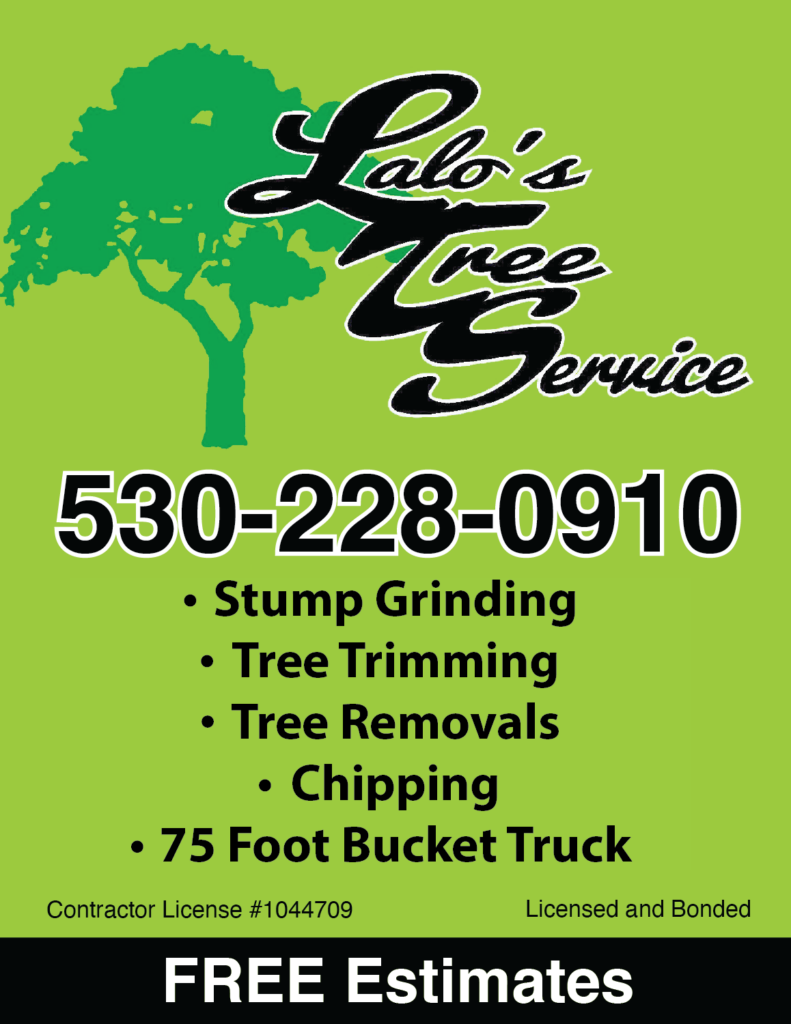 Print ad for Lalo’s Tree Service